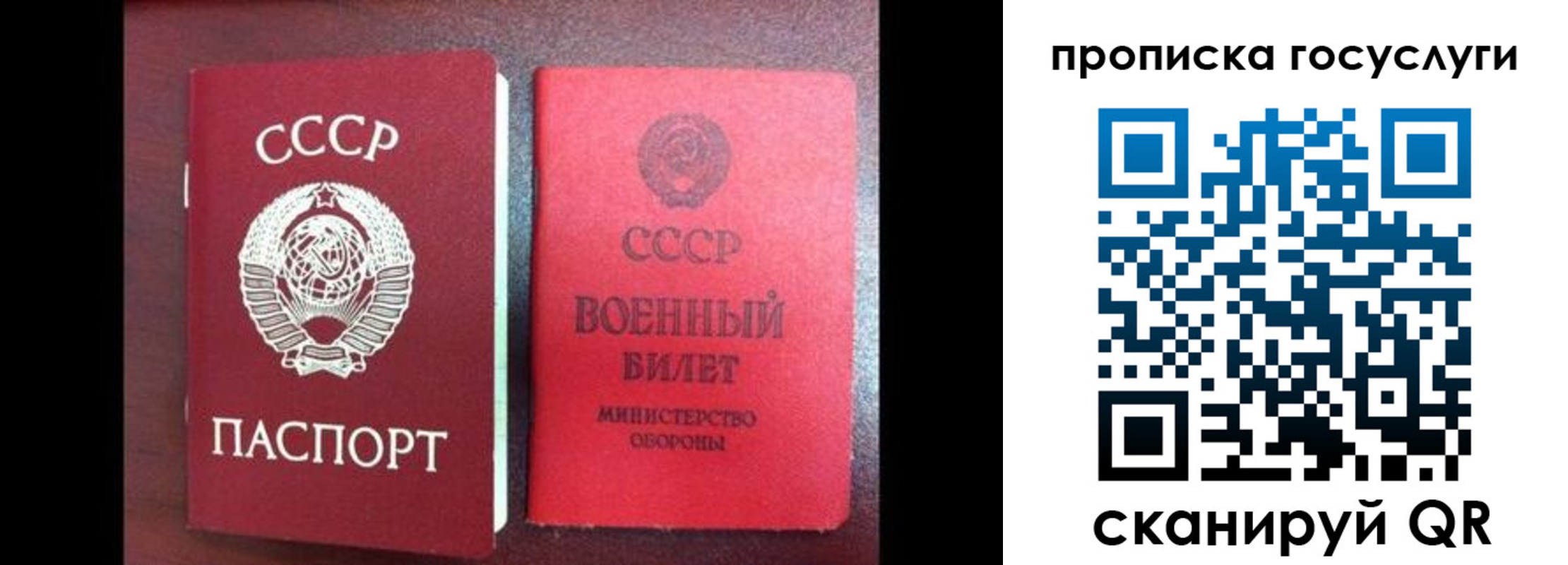 регистрация для школы в Мытищах