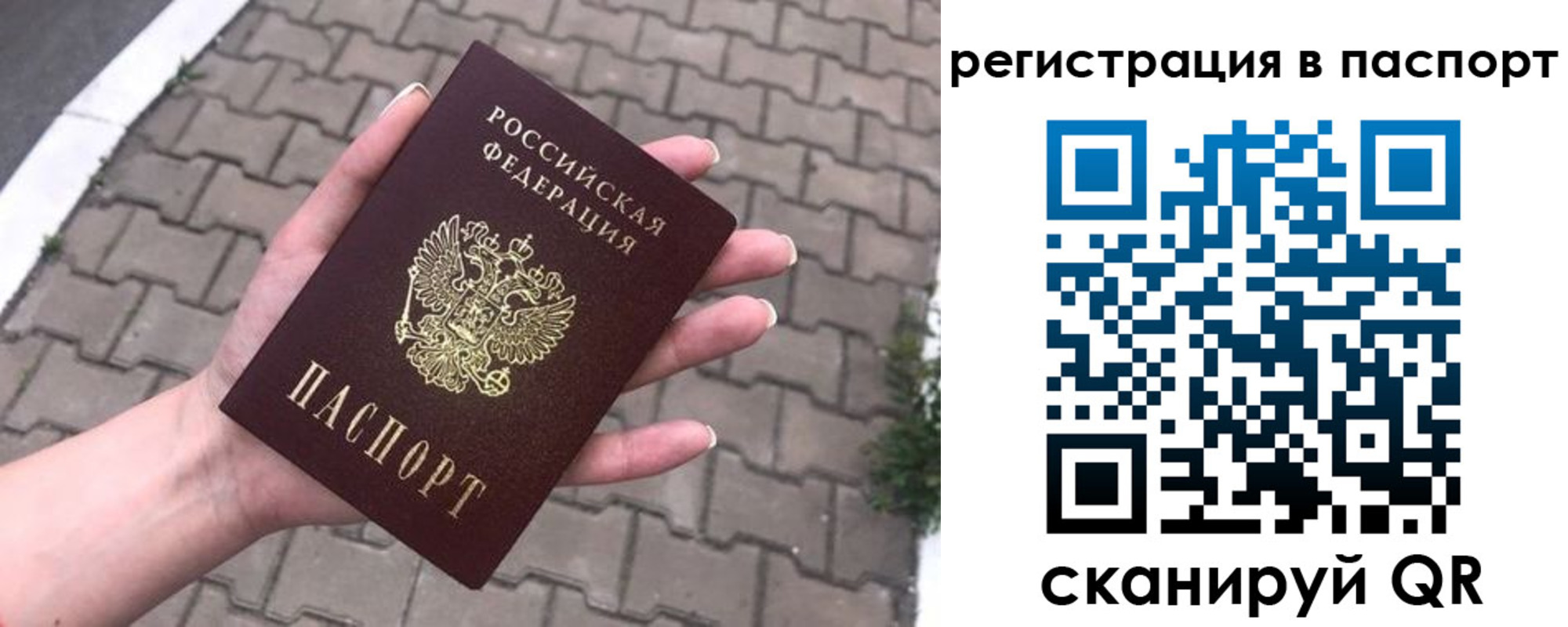 временная регистрация поиск в Мытищах